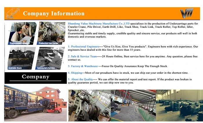 Shandong Value Machinery Crawler Crane Parts Shandong Value Machinery Crawler Crane Parts